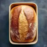 Honey Whole Wheat Bread - featured image