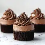 Mini Triple Chocolate Cheesecakes